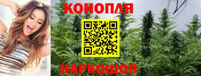 гидра Жуковский