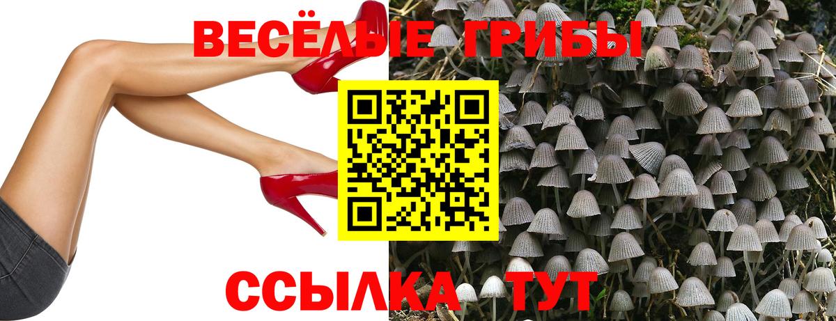 Галлюциногенные грибы GOLDEN TEACHER Гусев