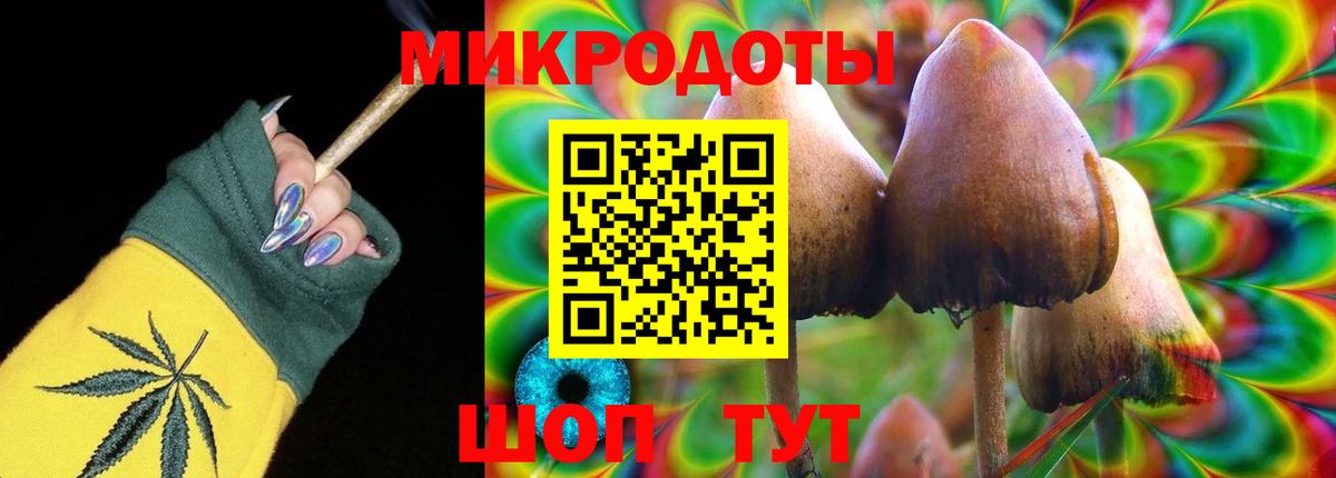 Гусев  Галлюциногенные грибы мухоморы  Вход с VPN 