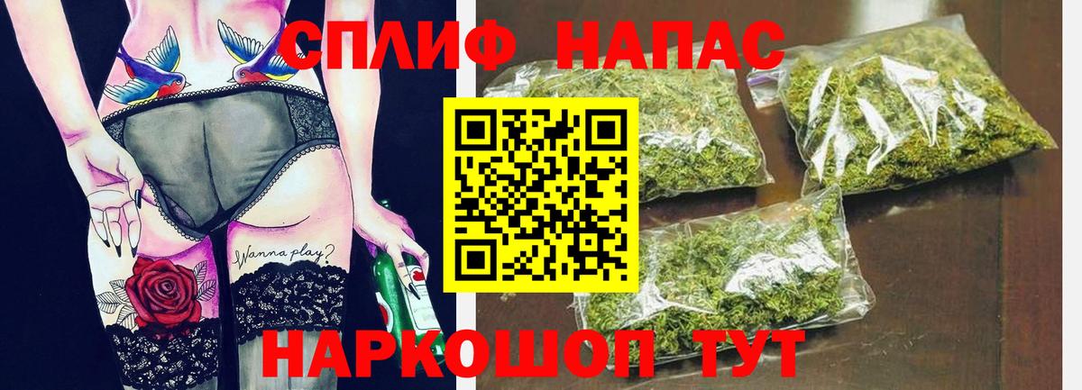 Конопля SATIVA & INDICA Гусев